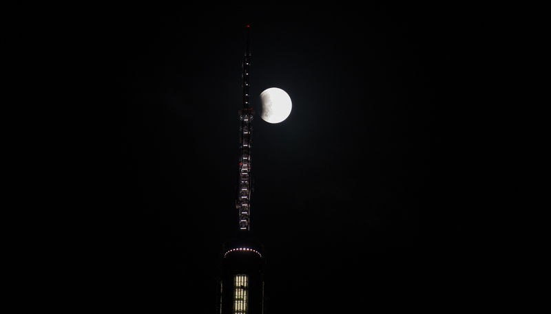 Illustration for article titled Here Are the Best Images of Last Night's Supermoon Eclipse